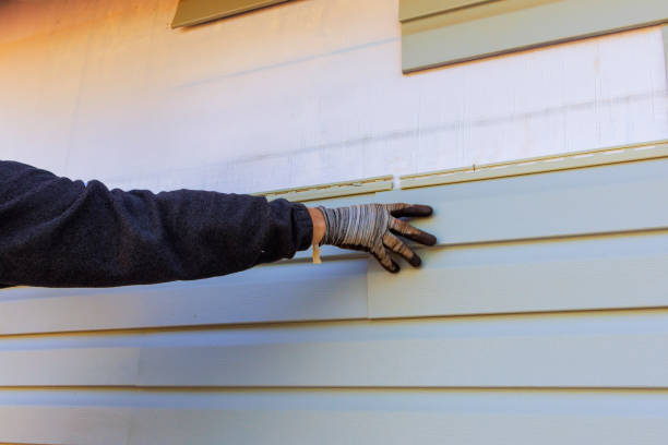 Best Siding Painting and Refinishing  in USA